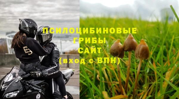 бошки Балахна