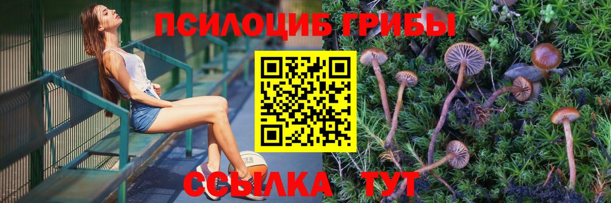 Бор  Псилоцибиновые грибы Magic Shrooms  Вход с VPN 